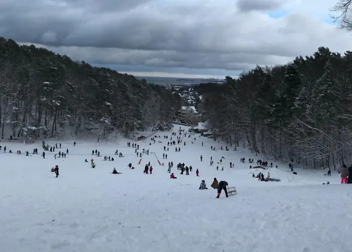 Apartamento Okrzei 15 - Poczuj Sie W Domu